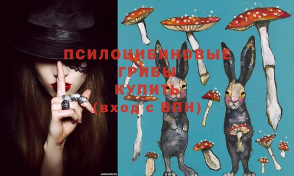 гидропоника Михайлов