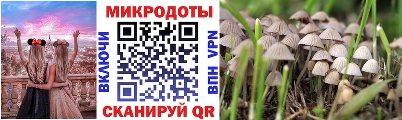 Псилоцибиновые грибы Cubensis  Подольск 