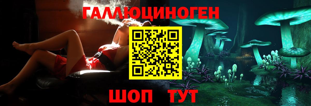Галлюциногенные грибы Magic Shrooms  Псилоцибиновые грибы ЛСД  Подольск  Вход с VPN 
